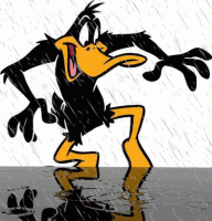 DAFFY.gif