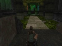 Dreamforyou64a.jpg