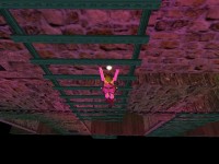 Search For The Lost Temple échelle.jpg