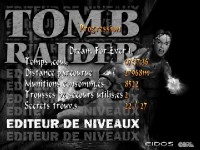 Dream For Ever nivo 1 stats.jpg